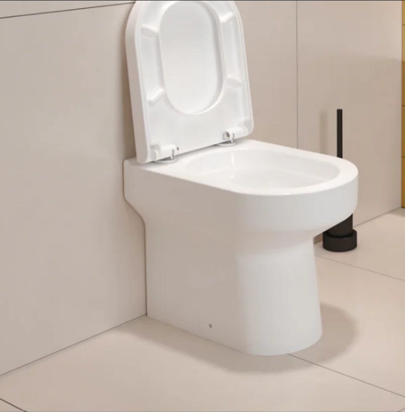 Oakham D-Shape Back To Wall Toilet Pan With Soft Close Seat | BSD