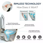 Ozone rimless toilet flushing technology and easier cleaning information