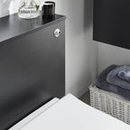 Close-up of the Purity matt black WC unit and flush button